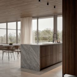 dica l12 eucalipto 02